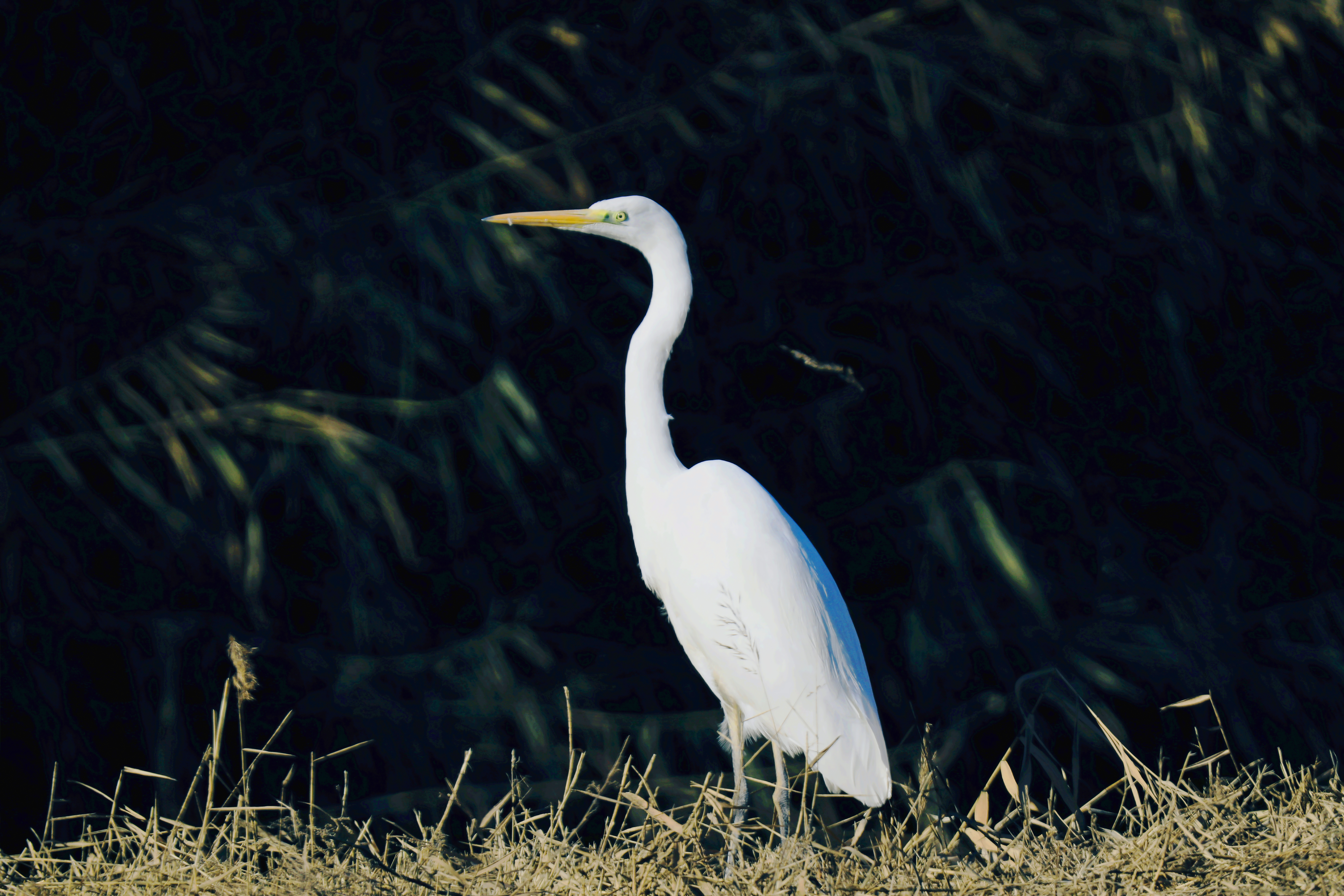 ÀîÛÂØ¸.jpg ÀîÛÂØ¸.jpg