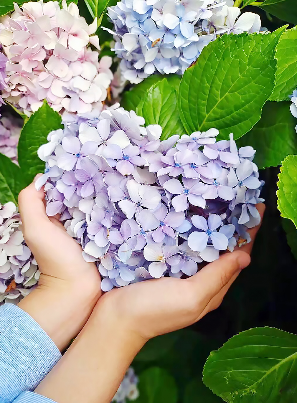 ºÂæÂæÂ.jpg ºÂæÂæÂ.jpg