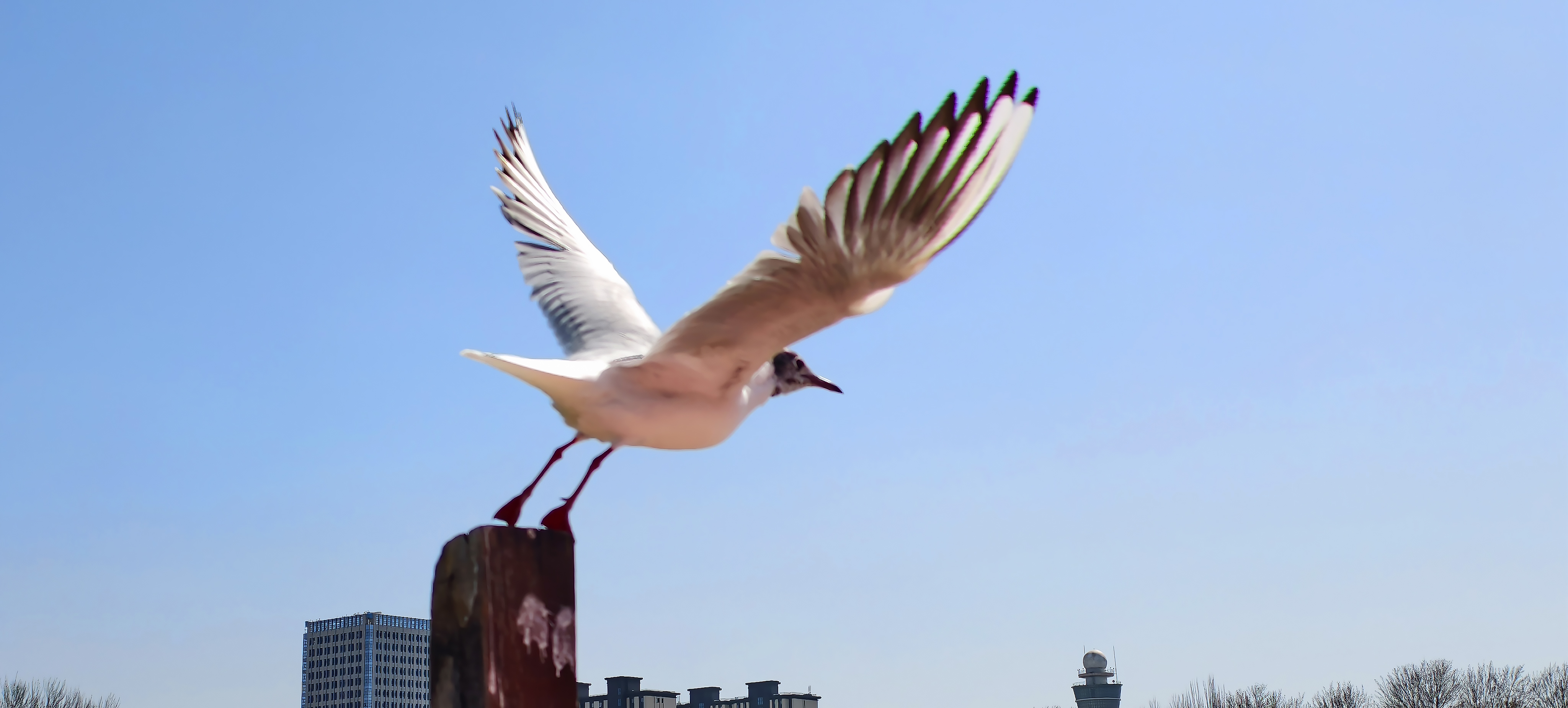 ×ÏСƽ-2.jpg ×ÏСƽ-2.jpg