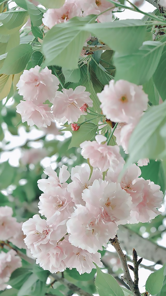 ºÂæÂæÂ-2.jpg ºÂæÂæÂ-2.jpg